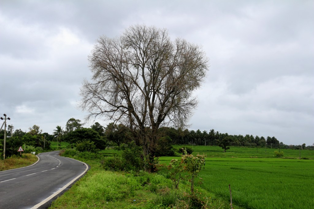 Traveling these days