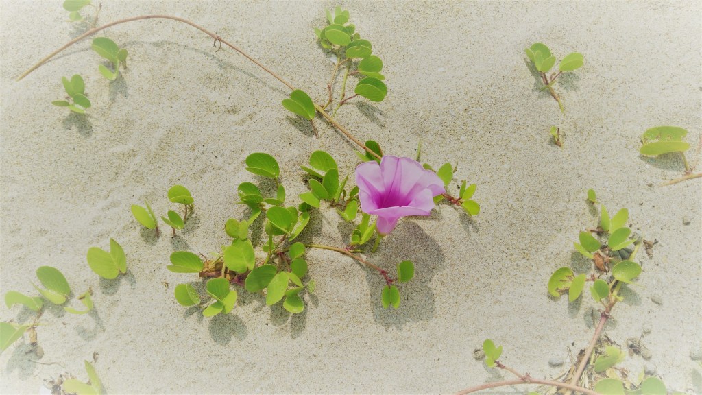 Can’t keep calm, we are pregnant!