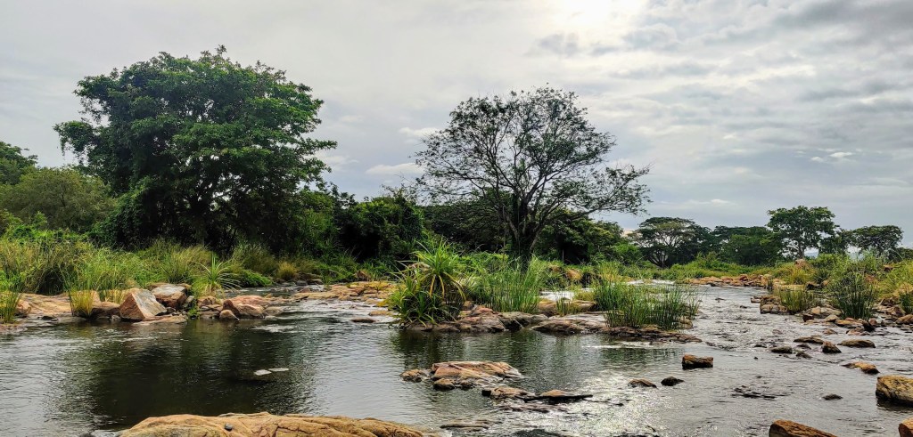 A Sanctuary in the middle of nowhere