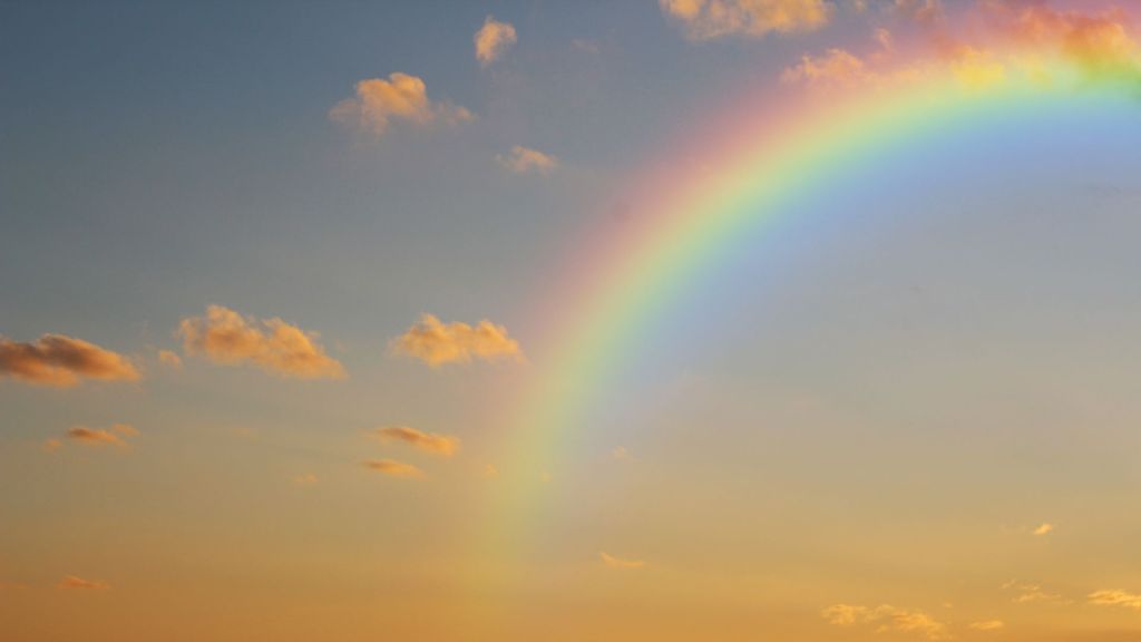 The Hidden Realities of a Privileged Working&nbsp;Mom